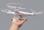 Syma1.jpg